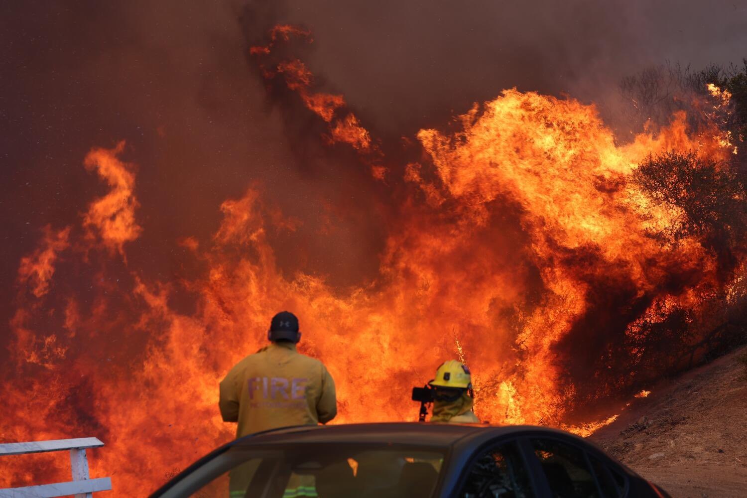 LA Wildfire Litigation Services