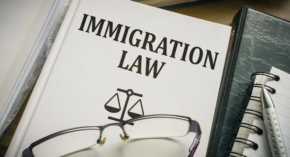 Virtual Paralegals for Immigration