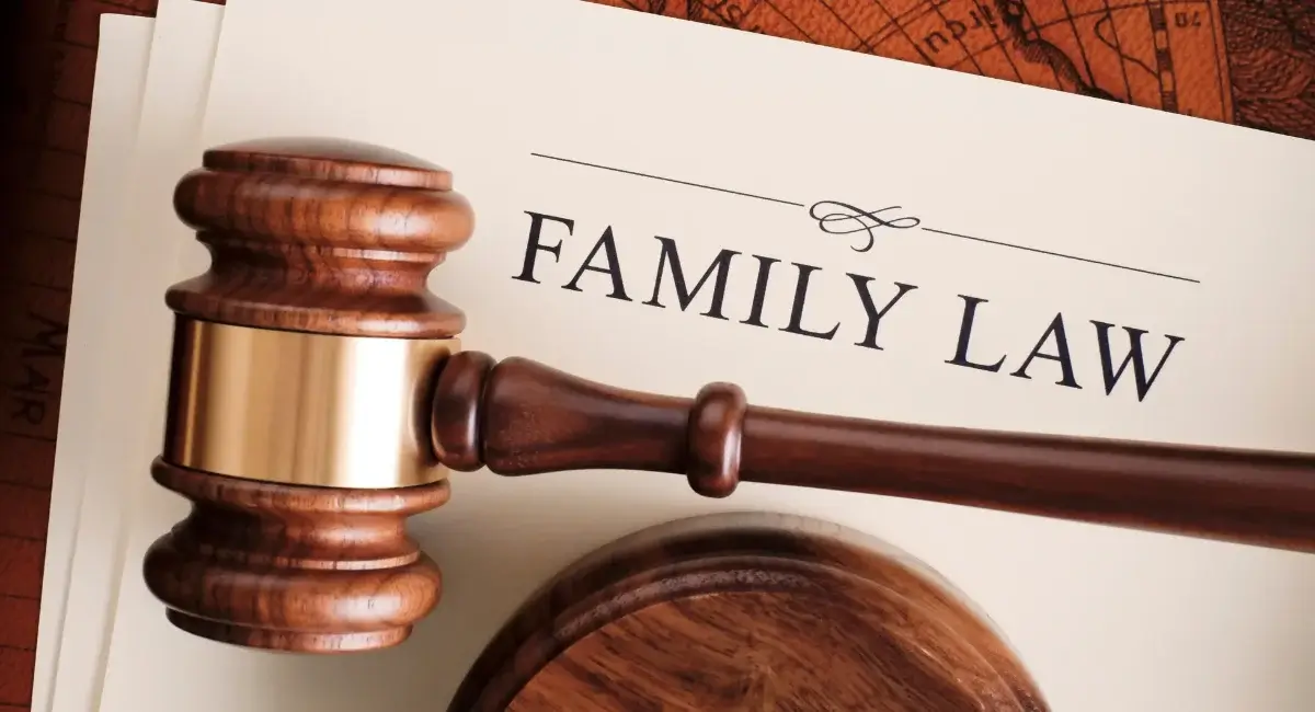 Virtual Family Law Paralegal Services