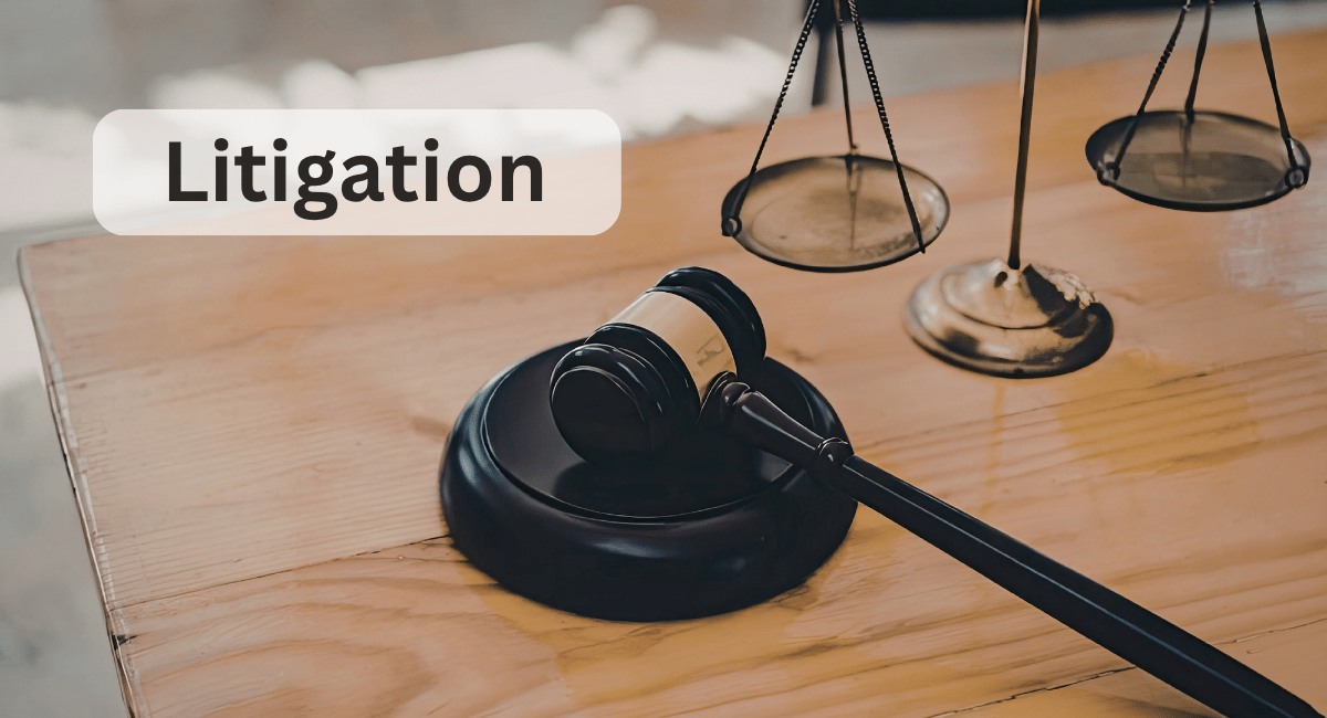Litigation Services